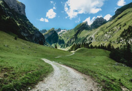 Newsletter 2 / 2019 - Fit für die Zukunft