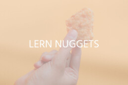 Lern Nuggets | Breitenmoser HR