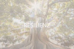 Resilienz | Breitenmoser HR