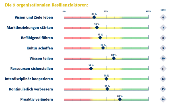 9 organisatorische Resilienzfaktoren | Breitenmoser HR